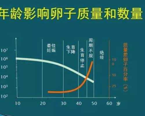 北京试管婴儿价格要多少钱,2023北京试管婴儿费用详情