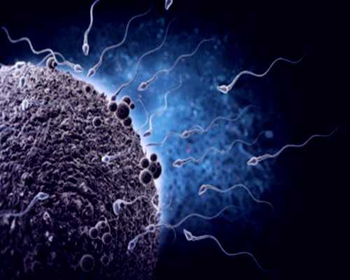 北京代生付费方式,2024北京协和医院供卵试管多少钱？附北京供卵试管费用一览