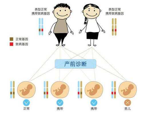北京找代怀女子,北京试管婴儿电话,北京家圆试管婴儿