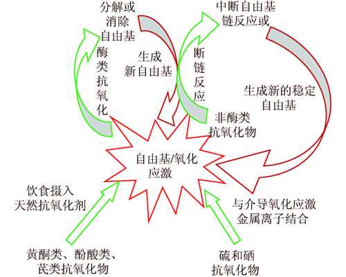 试管婴儿停胎胚胎原因_试管婴儿胎停是什么原因导致的?