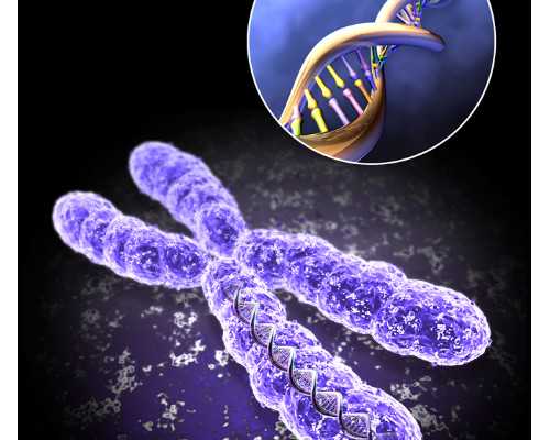 北京卖卵代孕那么火|济宁供卵试管医院排名？