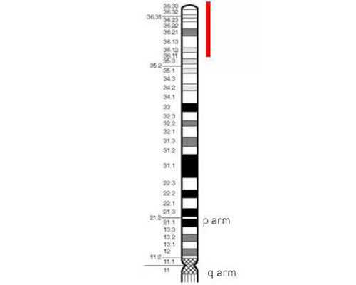 北京助孕代怀,北京试管中介