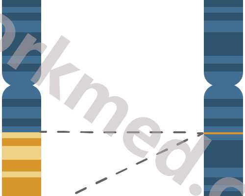 小儿动画片0至3岁推荐（适合婴幼儿观看的优秀动画片）