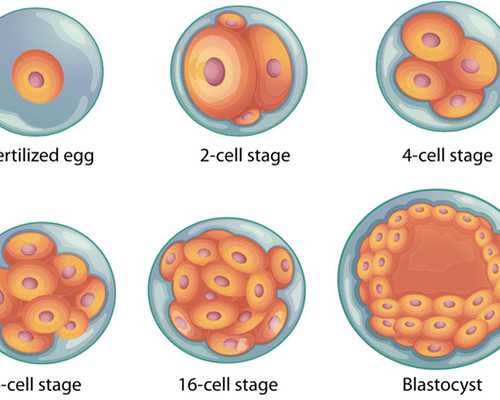 害怕！一次体检，到底吃进多少辐射？医生来告诉你