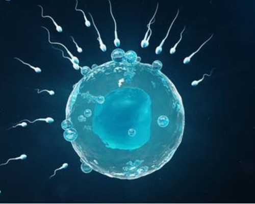 取完卵之后左侧卵巢增大,卵巢早衰吃什么才有拉丝白带,