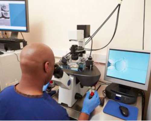 月经期上火能喝菊花茶吗