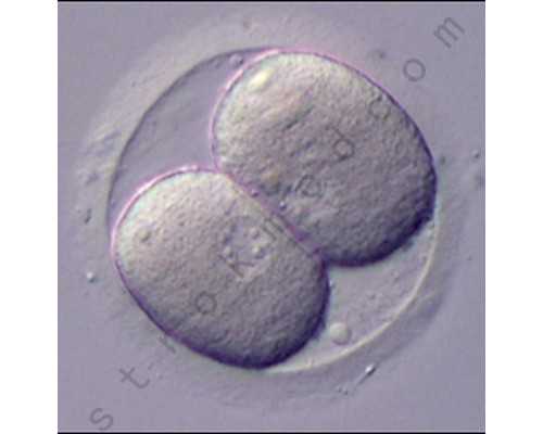 北京最大的助孕医院是哪家,有在北京宝岛医院做试管婴儿的吗？哪家医院靠谱