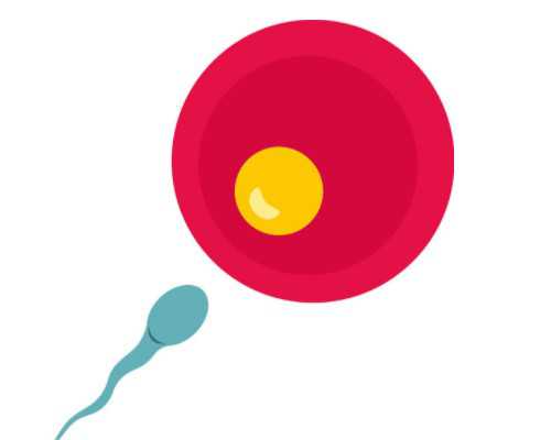 怀孕孕肚形状看男女准确吗？和性别有关吗？