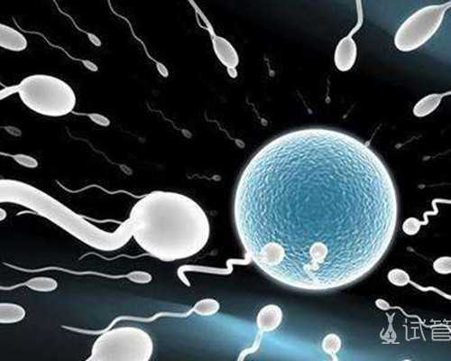 北京口碑好的代生,北京试管婴儿医院？北京哪里做试管包成功？