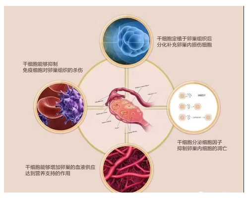 汤臣倍健备孕产品是否安全有效？