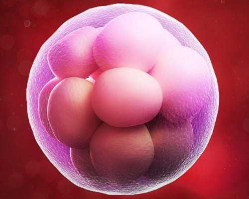 <strong>哈尔滨哈大二试管婴儿费用多少钱？</strong>