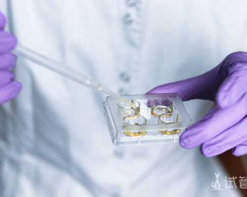 北京合法代怀助孕,北京合法供卵试管中心，北京试管套餐成功医院值得信赖吗