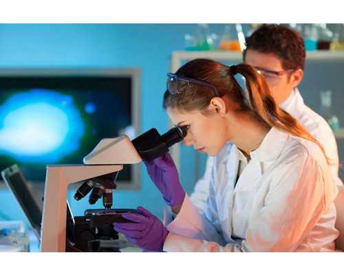 北京专业供卵医院,北京试管公司，蒸蒸日上