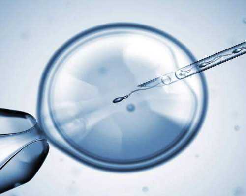 饭桌上的故事？蝴蝶的小饭桌故事复述