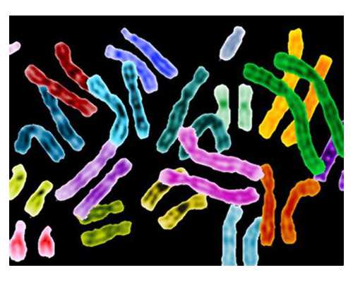 北京海外试管机构排名公布(北京海外试管机构排名公布最新)