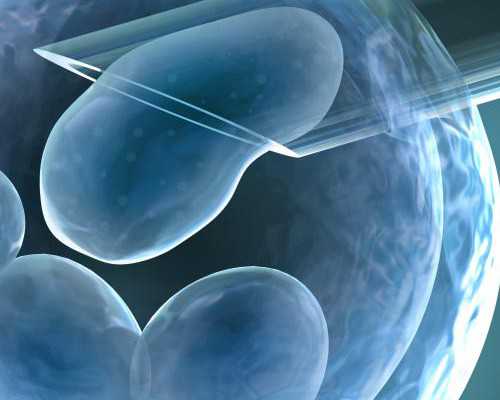 不孕不育抗体七项有哪些?前三个千万注意！