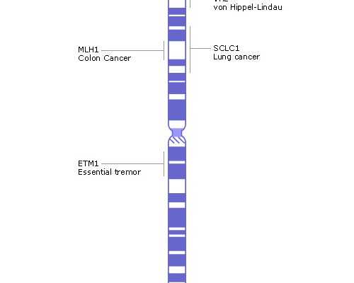 北京代孕无忧包成功,北京试管费用多少