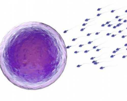 [养生]男性淋病引起的不孕不育可以治好吗