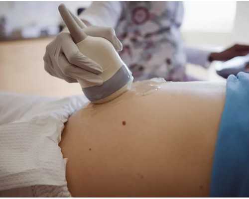 北京借腹生子代孕网|绍兴供卵试管费用多少？浙江试管婴儿捐卵供卵可以做吗