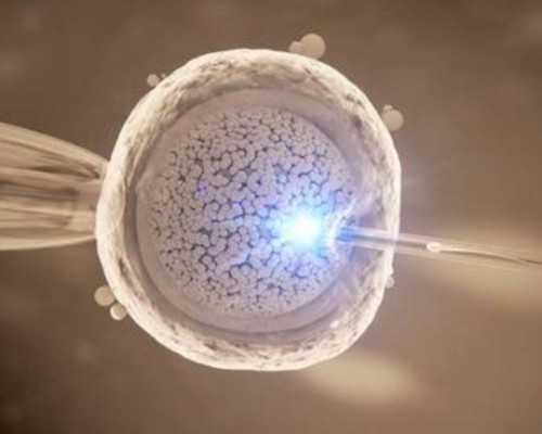 北京如何找正规代孕的女生呢|内蒙古人民医院试管婴儿胚胎移植成功率一览，