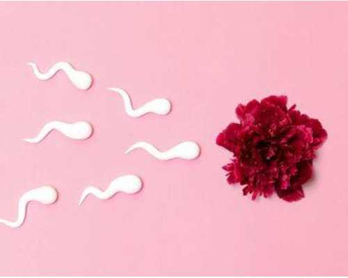 北京同性供卵代生,北京做试管需要花费多少钱