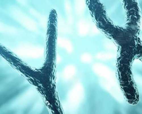 北京助孕价格走势分析,北京大学人民医院做三代试管婴儿移植胚胎费用多少？