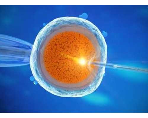 北京私立代生公司,北京三代试管包男孩靠谱吗？北京试管婴儿第三代可以选性