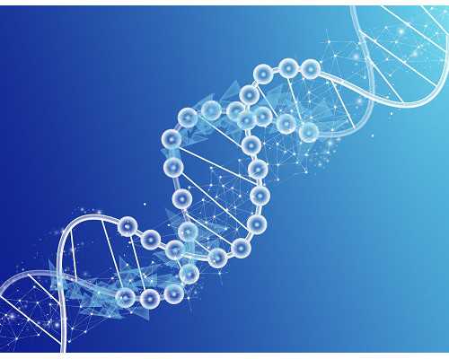北京代怀价格,，正式爆料北京试管公司