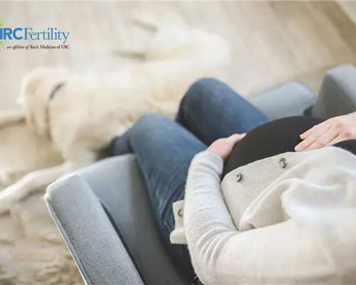 北京试管助孕价格|北京助孕公司|北京供卵试管医院|北京试管供卵试管机构_北