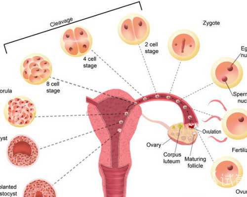 北京私人代孕医院,北京私立试管婴儿医院排名？北京试管助孕成功率明细？