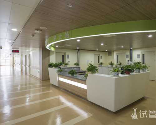 每天练50次，你的掌拳臂脚膝将硬如钢铁，传武格斗之击打树杆练习