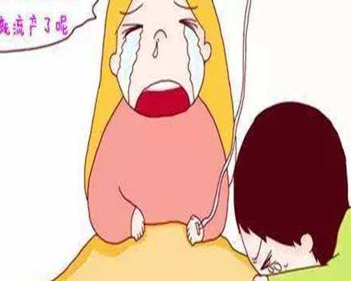 单机售价80万，重量仅20克只有手掌大小，全世界最小无人机