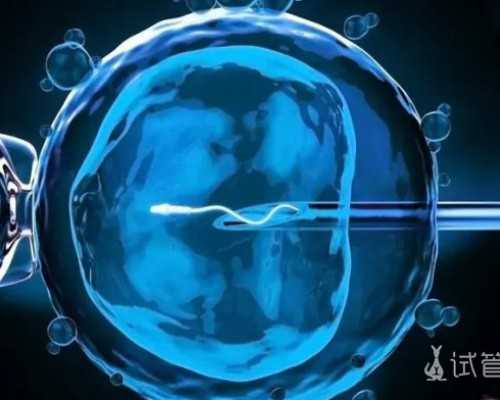 北京代怀最好医院,北京试管私立医院有哪些北京试管私立医院排名