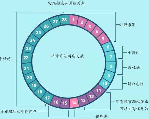 北京专业试管代孕,北京试管价格，北京私人试管婴儿价格