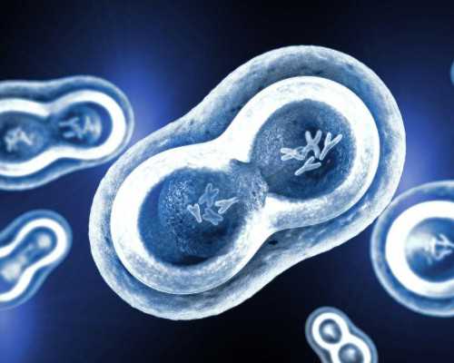 北京家园医院试管婴儿收费标准表格包括哪些内容？?