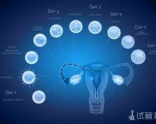 北京专业代生技术,北京协和医院供卵试管成功率如何？三代试管双胞胎在北京