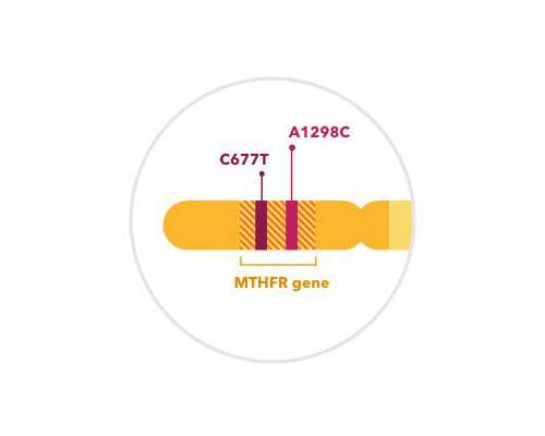 医疗健康产业投资，如何做到投前心向往之，投后心满意足