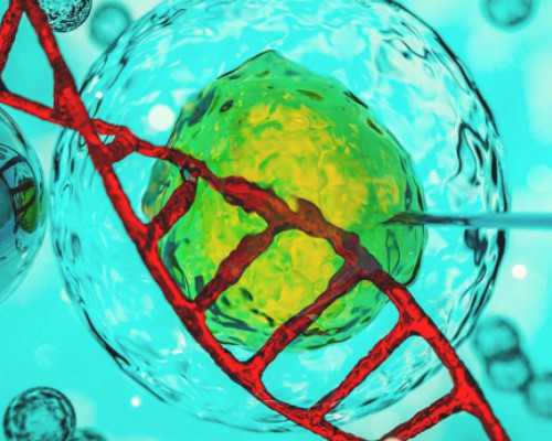 找北京三医院最牛大夫做试管，挂号时间是什么时候？