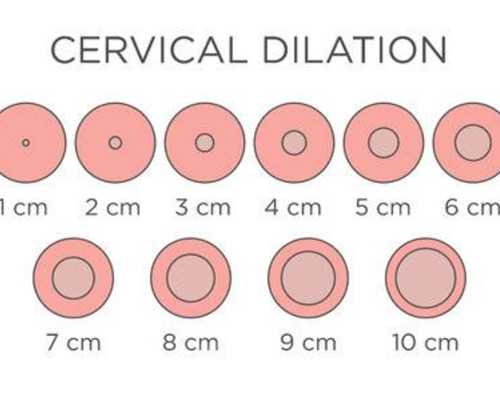 金立手机创始人：一把牌输7亿美金,欠款200多亿跑路,至今下落不明