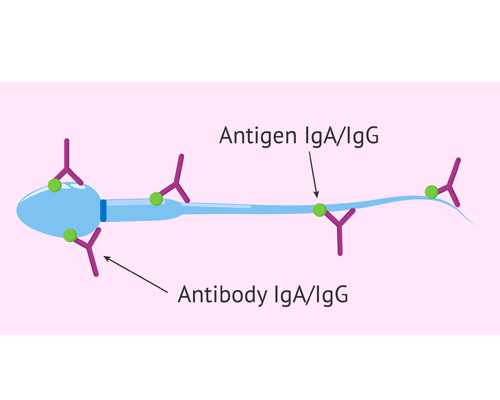 北京代怀最新报道,2024在北京做供卵试管婴儿要多少钱？附北京供卵试管医院排