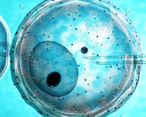 北京供卵自怀三代|北京朝阳医院可以做三代试管婴儿吗