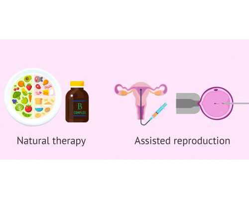 北京代生价格多少,北京供卵助孕，高龄供卵三代试管