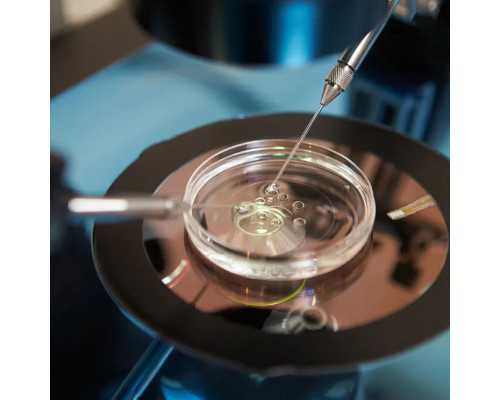 北京哪有医院供卵,北京私人医院排行榜最新