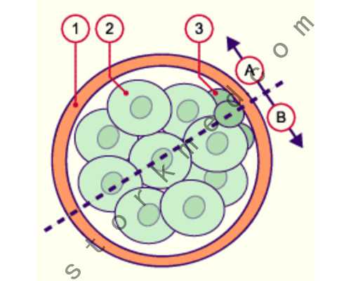 北京高端代孕网,北京哪家医院做试管成功率高北京哪家医院做试管成功率高点