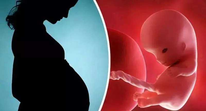 北京代孕怎么受孕 北京协和医院试管养囊技术 ‘系统彩超单子怎么看男女’